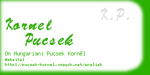 kornel pucsek business card