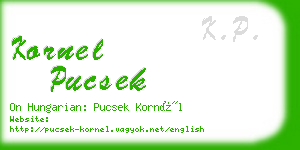 kornel pucsek business card